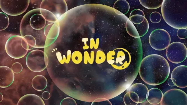 In Wonder Demo