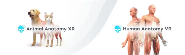 Anatomy XR Bundle