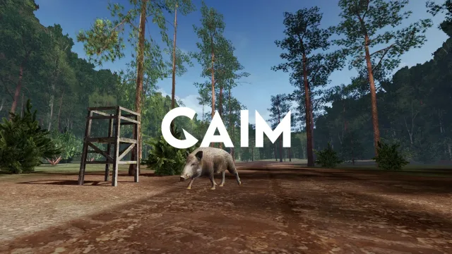 GAIM