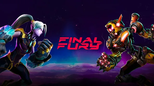 FINAL FURY